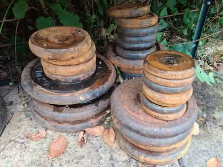 Photo of free Weights & adjustable bench (Rusthall TN3) #2