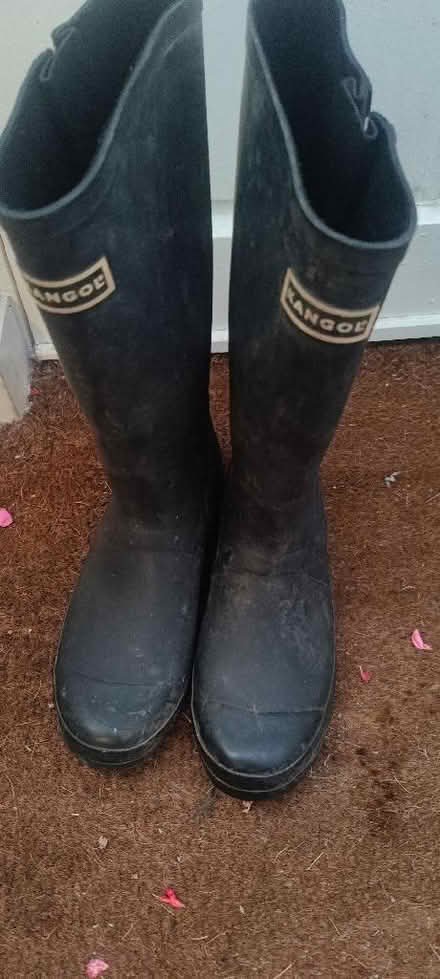 Photo of free Wellington boots size 8 (St. Mildred's CT1) #1