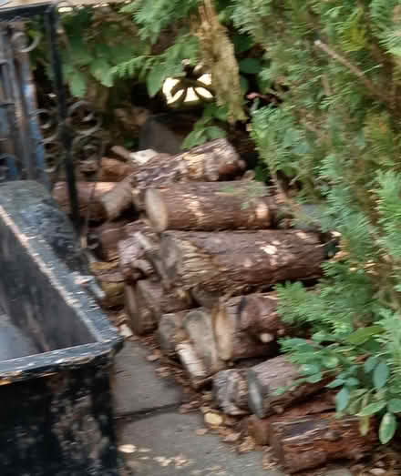 Photo of free Logs for Wood Burner (Cropston) #1
