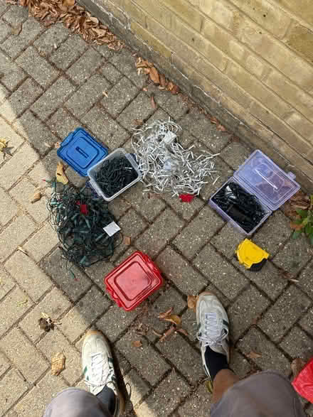 Photo of free Christmas decorations and lights (Ascot SL5) #2