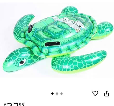Photo of free Turtle pool float (Goodnestone ME13) #2