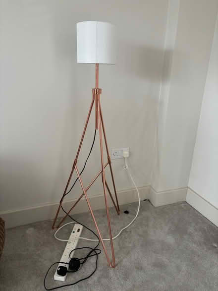 Photo of free Floor lamp (Berechurch Road CO2) #1