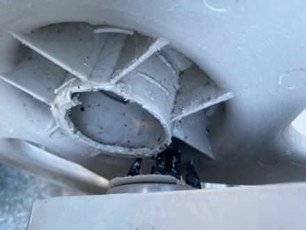 Photo of free Long garden hose (Greenwood) #3
