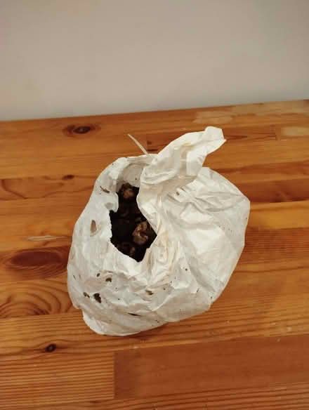 Photo of free Nut soap (Lewisham SE3) #1