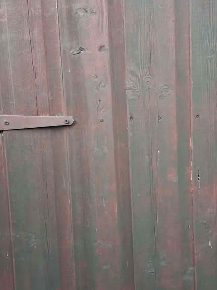 Photo of free Firewood (Battle RG30) #2