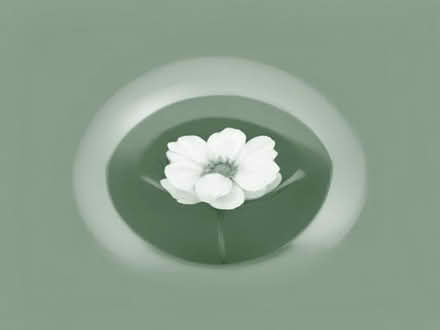 Photo of Catalogues/Magazines of Flowers (Stourbridge DY8) #1