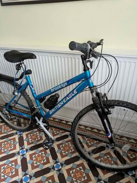 Photo of free Woman's Bicycle (Moseley B13) #1