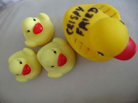 Photo of free Plastic Duck and three chicks for duck races (Coppull PR7) #2