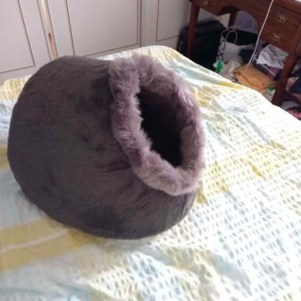 Photo of free Indoor cat cave / shelter (Sopwell AL1) #2
