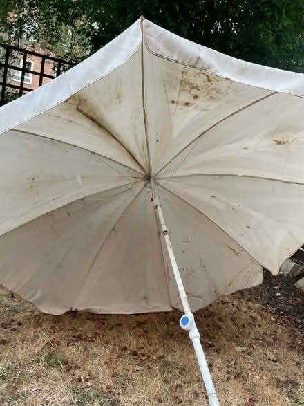 Photo of free Patio parasol (Downham BR1) #1