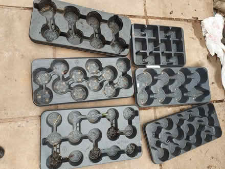 Photo of free Plastic plant pots and seed trays (Lichfield WS13) #1
