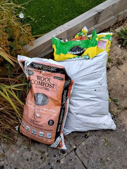 Photo of free 4 bags of compost (Speedwell Bristol BS5) #1