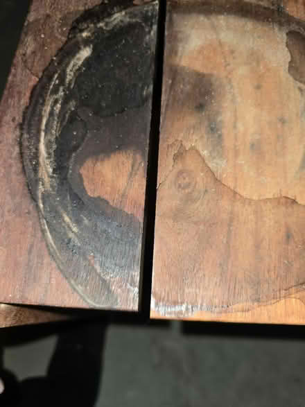 Photo of free Plant stand (Saline) #4