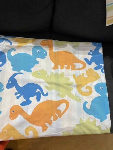 Photo of free Single Duvet set (North Road BA2) #1