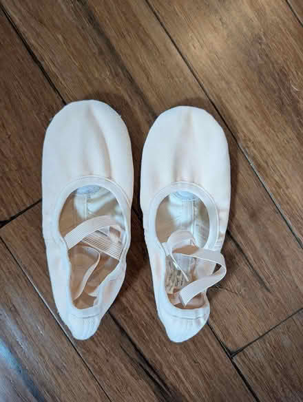 Photo of free Size 8.5 ballet slippers (Columbia, Clemens Crossing) #1