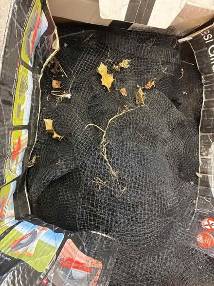 Photo of free Garden netting (Great Boughton CH3) #2