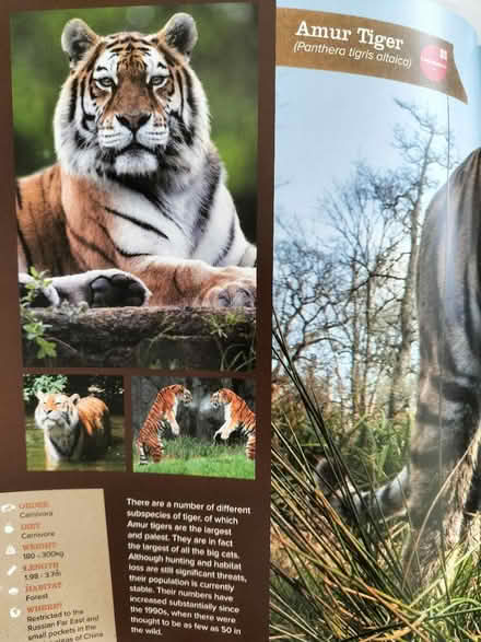 Photo of free Longleat guide (Wollaton NG8) #3