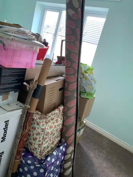 Photo of free Large rug (Tavistock) #1