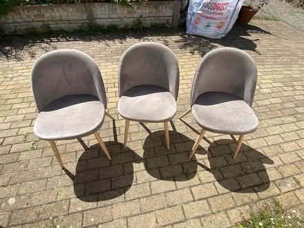 Photo of free Three dining chairs. (Bowerham LA1) #1