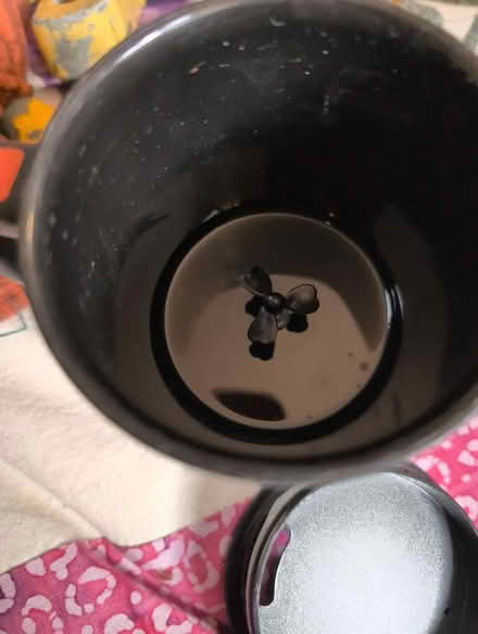 Photo of free Silver Lazy Coffee lovers with mini whisk (Alperton HA0) #2