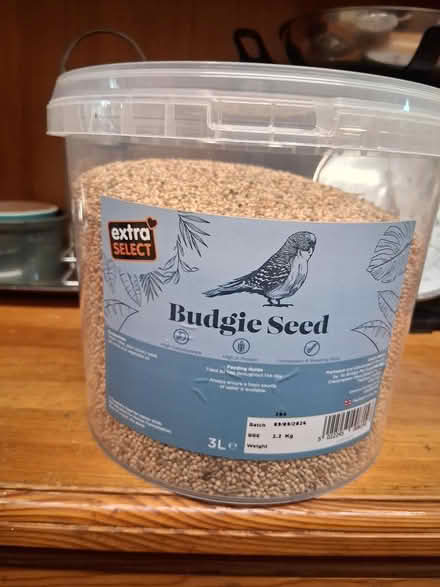 Photo of free Budgie (Newchurch Rossendale BB4) #1
