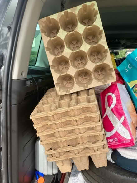 Photo of free Cardboard bottle packing trays (DH9 9QD) #1