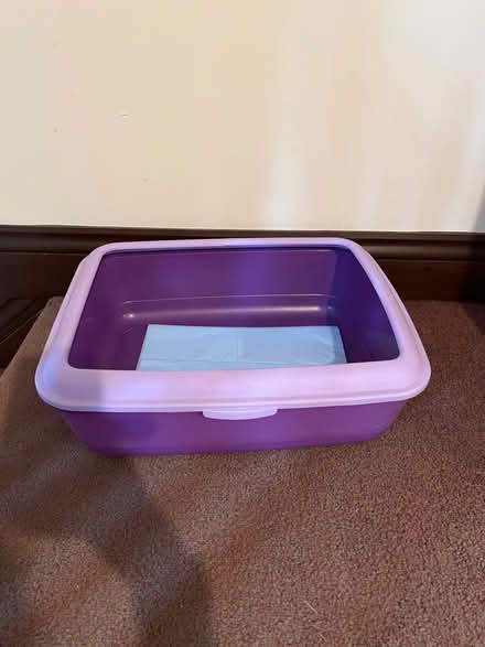 Photo of free Cat Litter Tray (Fobbing SS17) #1