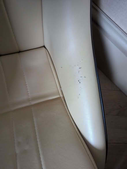 Photo of free Cream cobra bucket seat (Brookvale RG21) #2