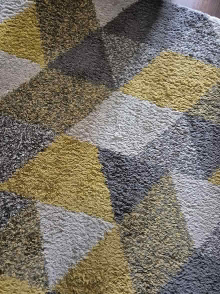 Photo of free Dunelm rug - 160cm x 230cm (Minster Lovell OX29) #2