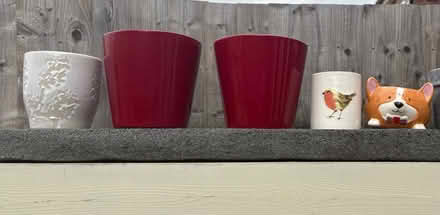 Photo of free Plant pots (Walkley S6) #2