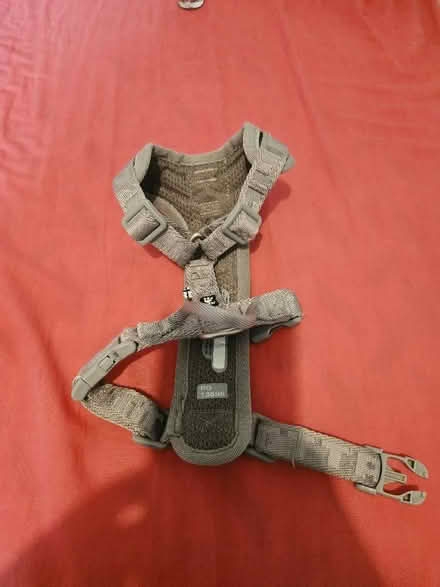 Photo of free Dog Harness (Bellingham SE6) #1