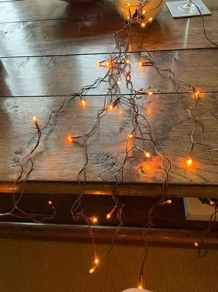 Photo of free Fairy lights - brown flex with mains plug (Lyncombe BA2) #1
