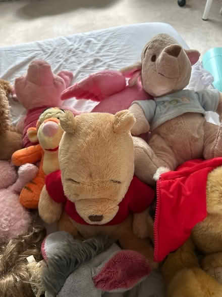 Photo of free All the teddies (Little Chalfont HP8) #2