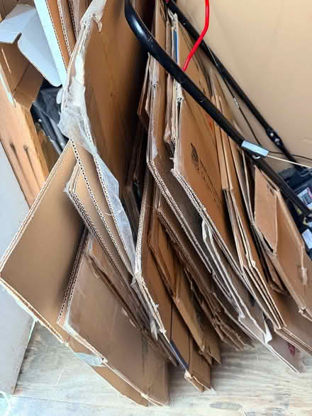 Photo of free moving boxes (Xenia) #1