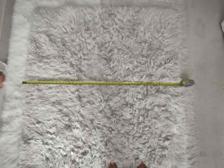 Photo of free White Shaggy Rug. (Burnham On Sea TA8) #2