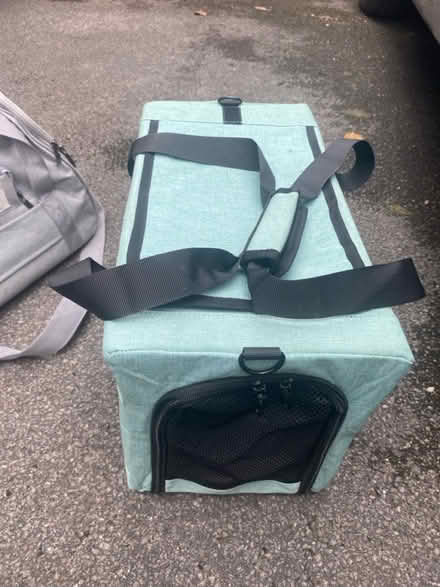 Photo of free Cat careier (Golborne WA3) #1