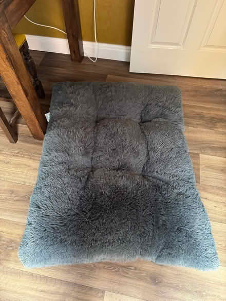 Photo of free Dog bed / flat squishy mat (Lords Wood ME5) #1