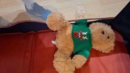 Photo of free Travel Cot (needs TLC) (Cosham PO6) #4