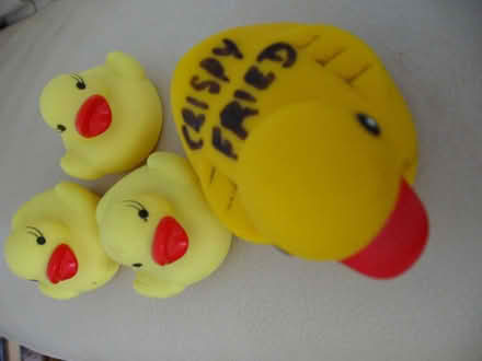 Photo of free Plastic Duck and three chicks for duck races (Coppull PR7) #1