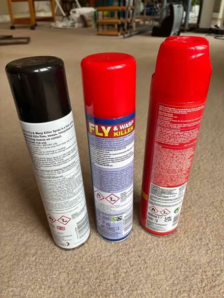 Photo of free Fly and Wasp killer aerosols (Great Boughton CH3) #2