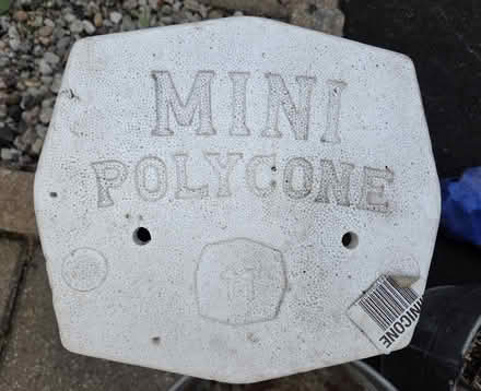 Photo of free Mini Wintering Polycones (9) (Le Plateau (near the Walmart)) #2