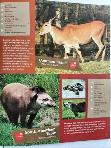 Photo of free Longleat guide (Wollaton NG8) #2