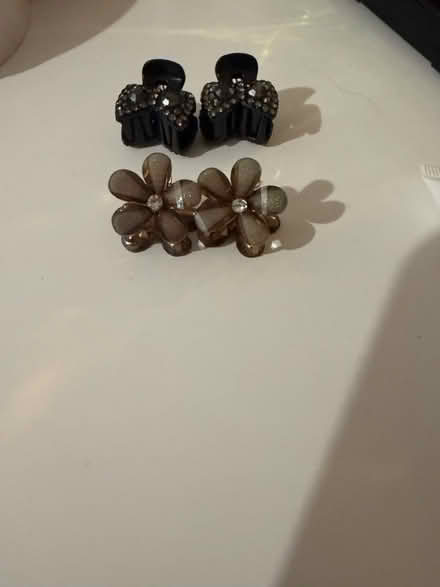 Photo of free Ladies mini hair clips (E3) #2