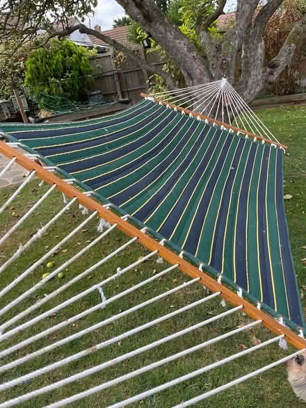 Photo of free Hammock (Hullbridge SS5) #1