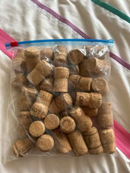 Photo of free Bottle corks (Willingdon BN22) #1