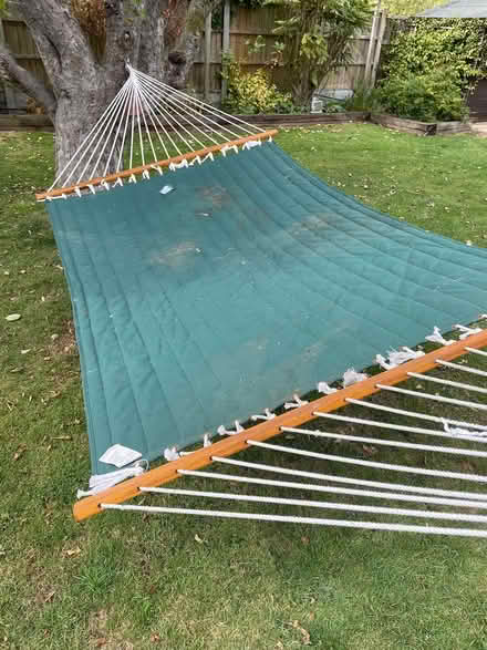 Photo of free Hammock (Hullbridge SS5) #2