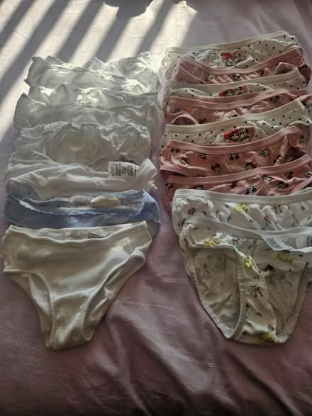 Photo of free M&S/Zara girls Briefs (Hall green B28) #1