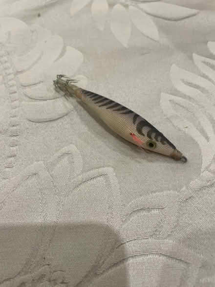 Photo of free Fishing bait (Anerley SE20) #1