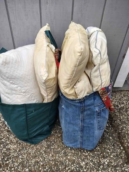 Photo of free four pillows (downtown novato) #1