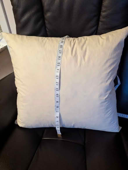 Photo of free Large duck feather cushion pad, new (Chesser EH14) #1